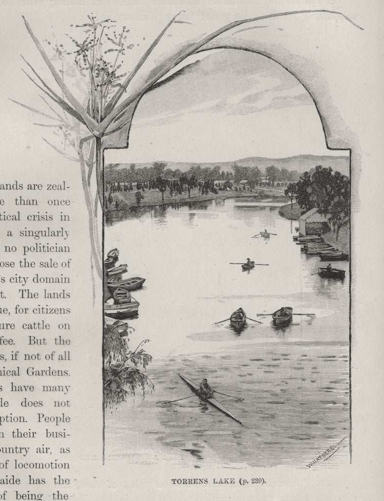 Torrens Lake. Adelaide. Australia 1890 old antique vintage print picture